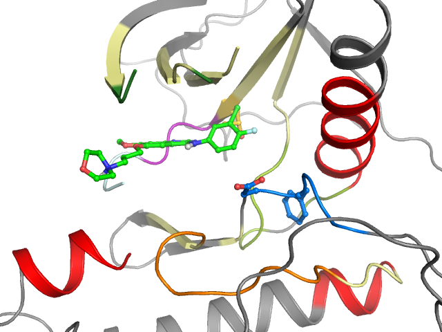 The orthosteric binding pocket