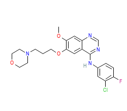 2D structure of the orthosteric ligand