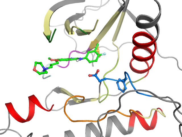 The orthosteric binding pocket