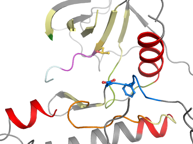 The orthosteric binding pocket