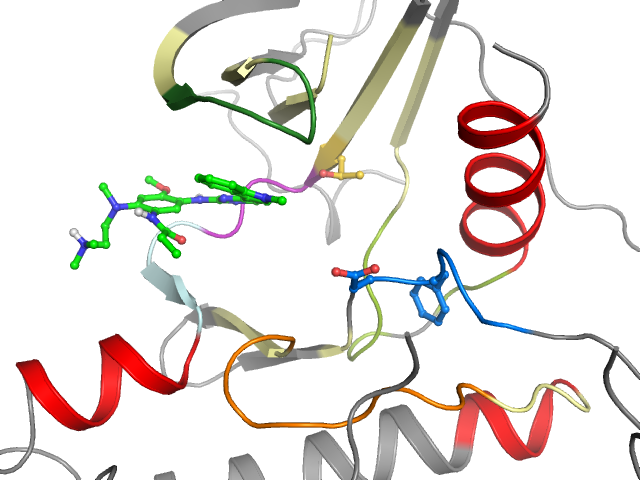 The orthosteric binding pocket