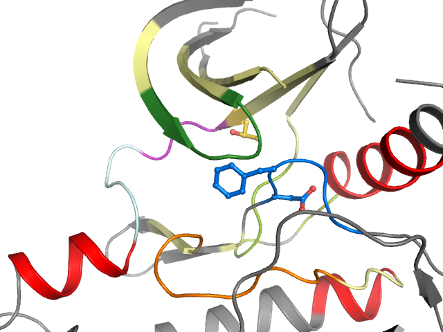 The orthosteric binding pocket