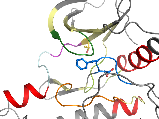 The orthosteric binding pocket