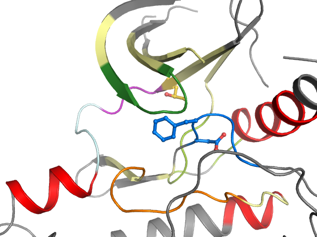 The orthosteric binding pocket