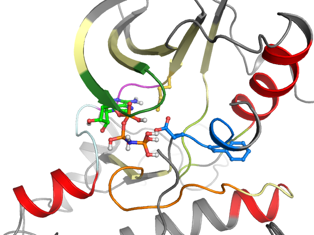 The orthosteric binding pocket