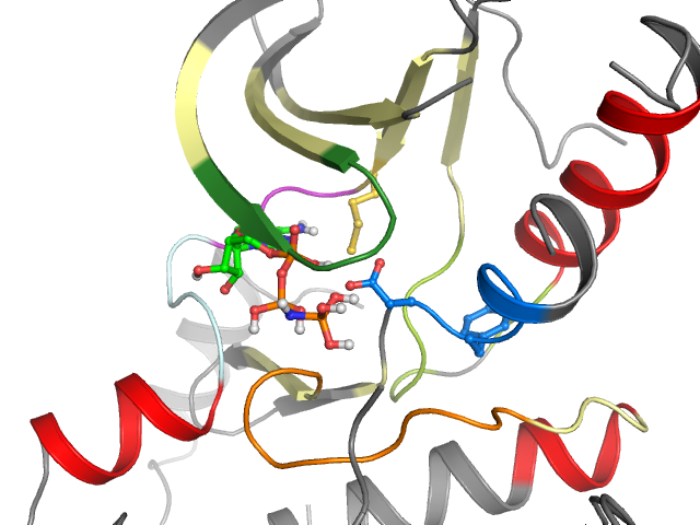 The orthosteric binding pocket