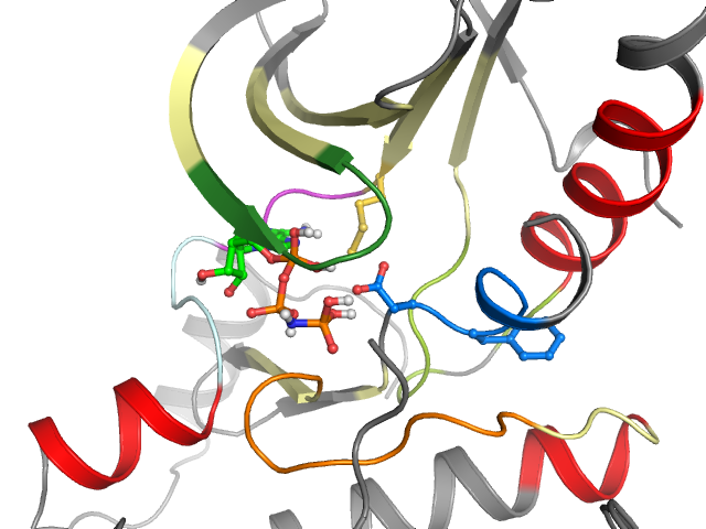The orthosteric binding pocket