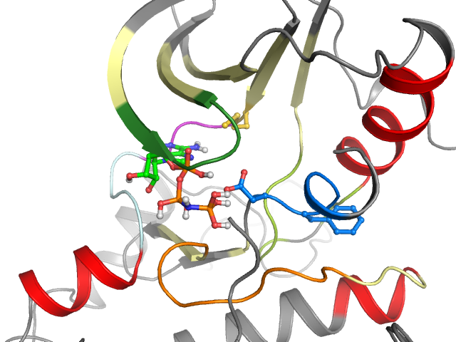 The orthosteric binding pocket