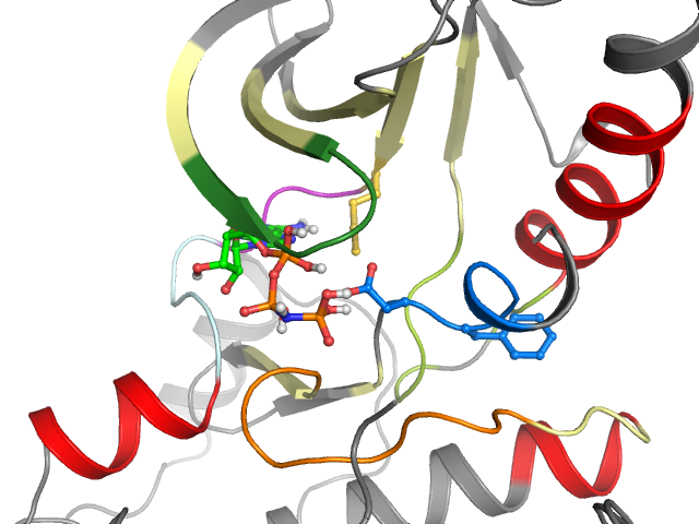 The orthosteric binding pocket