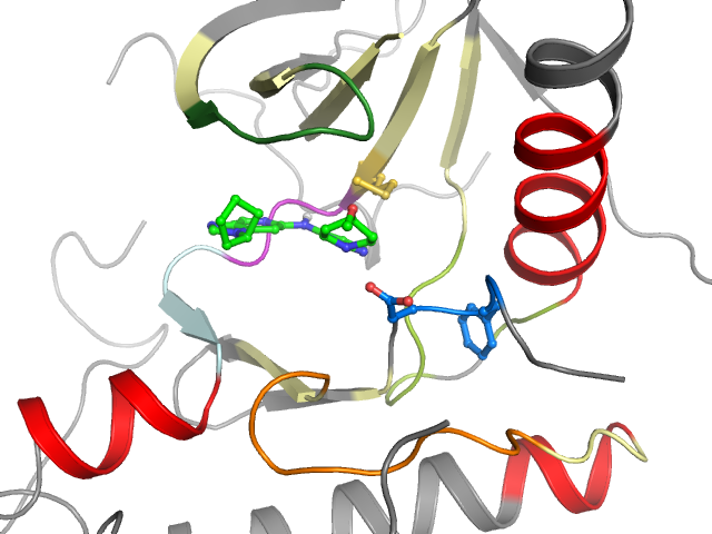 The orthosteric binding pocket
