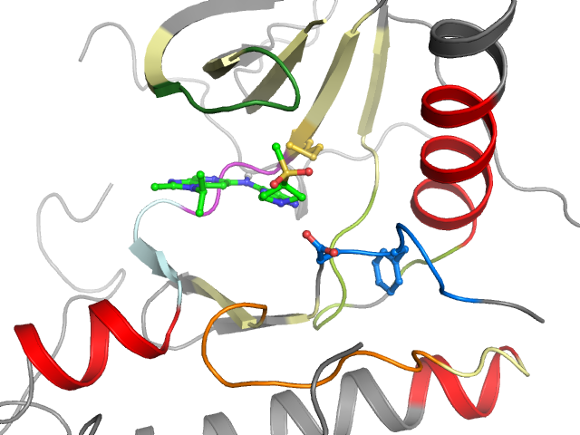 The orthosteric binding pocket
