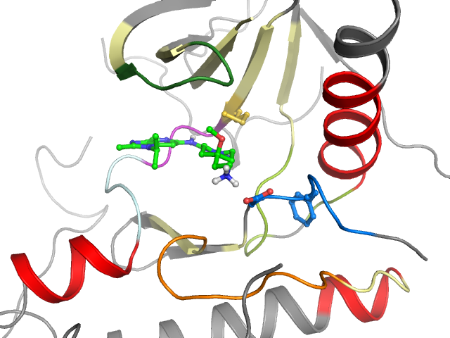 The orthosteric binding pocket