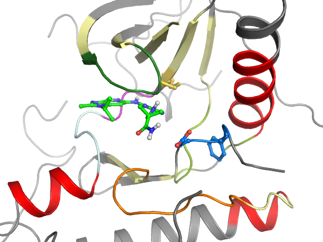The orthosteric binding pocket