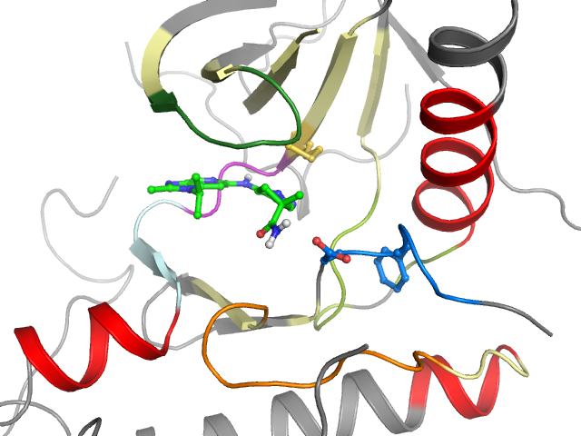 The orthosteric binding pocket