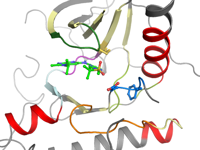 The orthosteric binding pocket