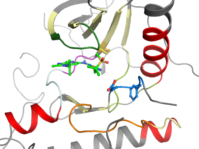 The orthosteric binding pocket