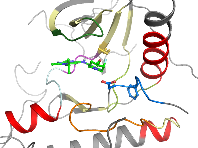 The orthosteric binding pocket