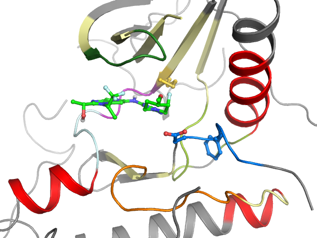 The orthosteric binding pocket