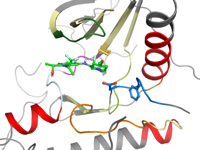 The orthosteric binding pocket