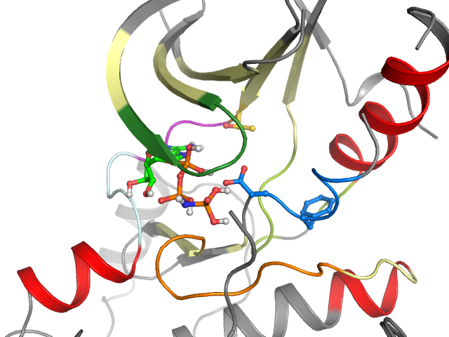 The orthosteric binding pocket