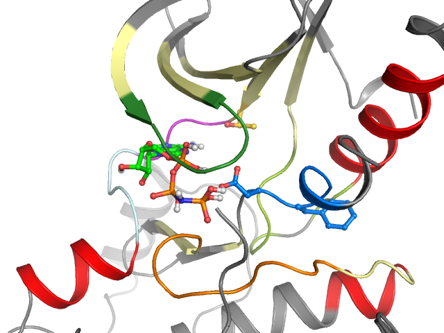 The orthosteric binding pocket