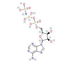 2D structure of the orthosteric ligand