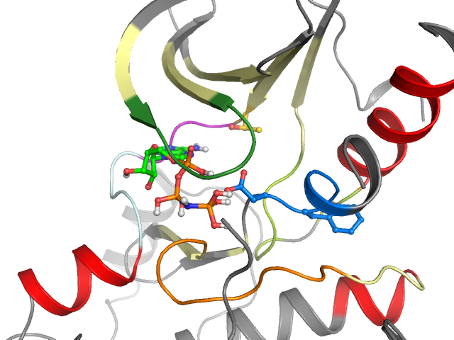 The orthosteric binding pocket