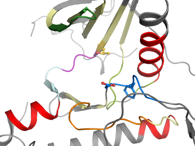 The orthosteric binding pocket