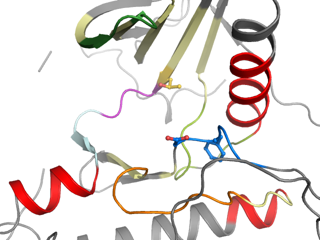 The orthosteric binding pocket