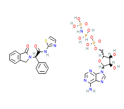2D structure of the orthosteric ligand