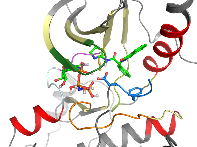 The orthosteric binding pocket