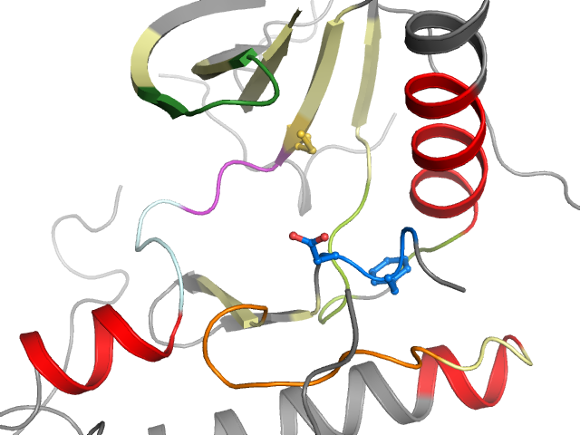 The orthosteric binding pocket