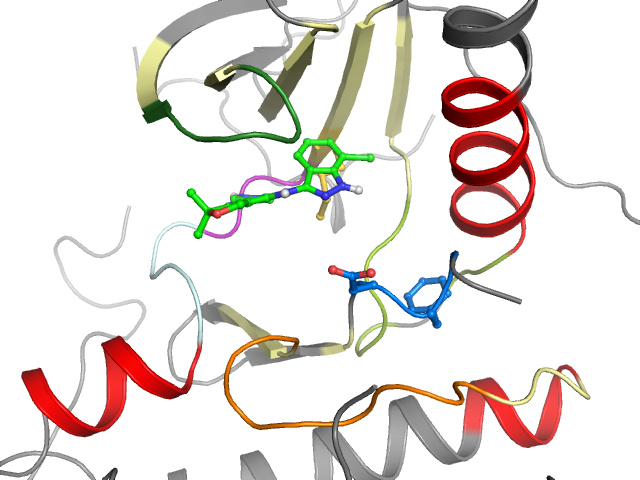 The orthosteric binding pocket