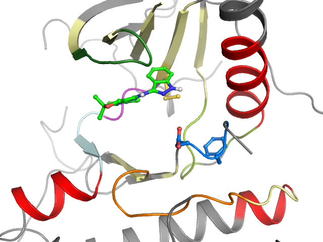 The orthosteric binding pocket