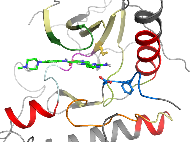 The orthosteric binding pocket