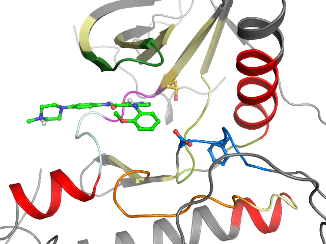 The orthosteric binding pocket