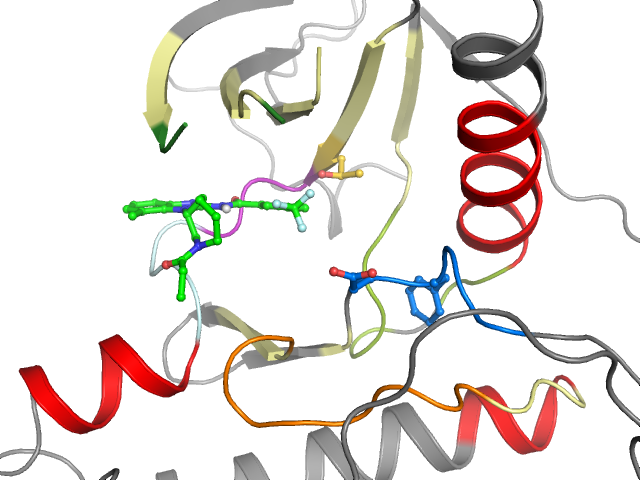 The orthosteric binding pocket