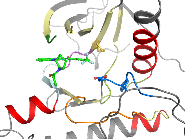 The orthosteric binding pocket