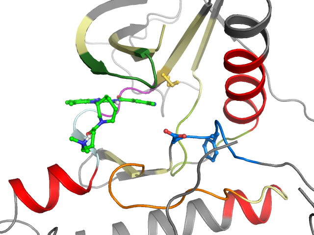 The orthosteric binding pocket