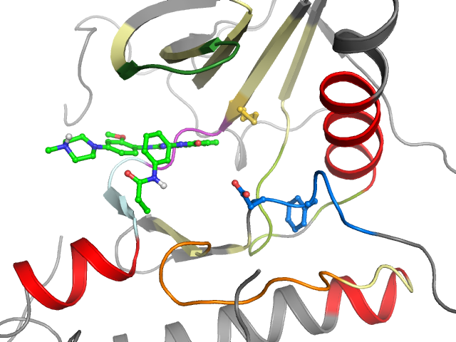 The orthosteric binding pocket