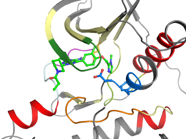 The orthosteric binding pocket