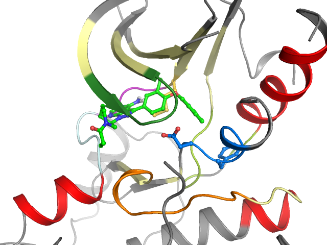 The orthosteric binding pocket