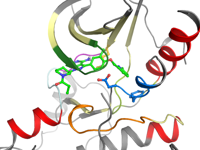 The orthosteric binding pocket