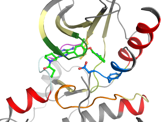 The orthosteric binding pocket