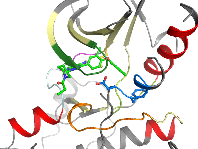 The orthosteric binding pocket