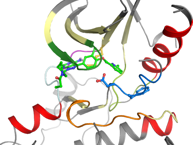 The orthosteric binding pocket