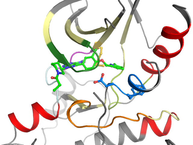 The orthosteric binding pocket