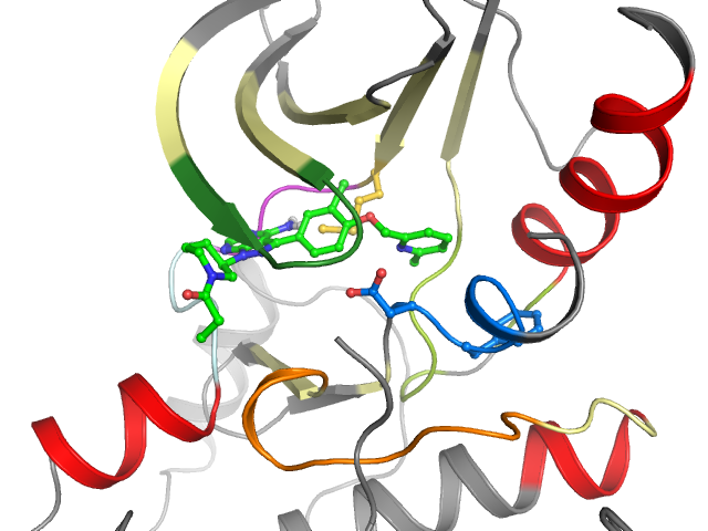 The orthosteric binding pocket