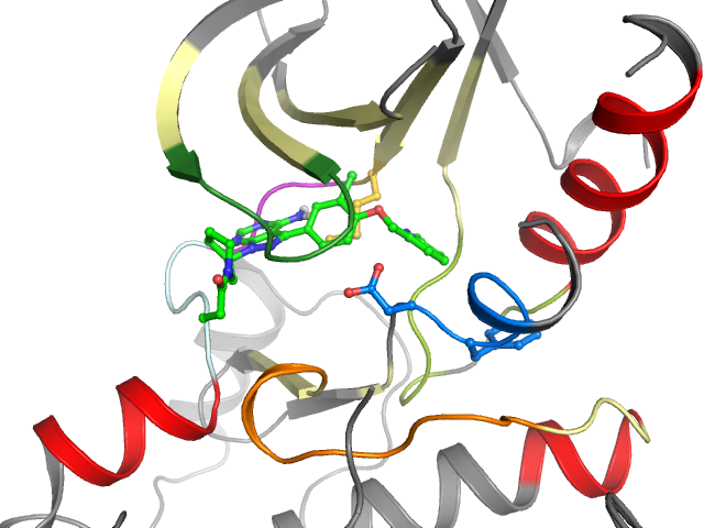 The orthosteric binding pocket