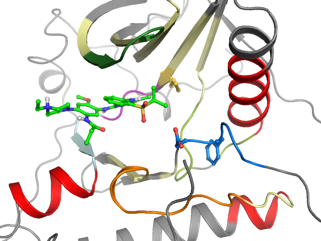 The orthosteric binding pocket